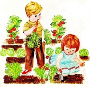 gardening